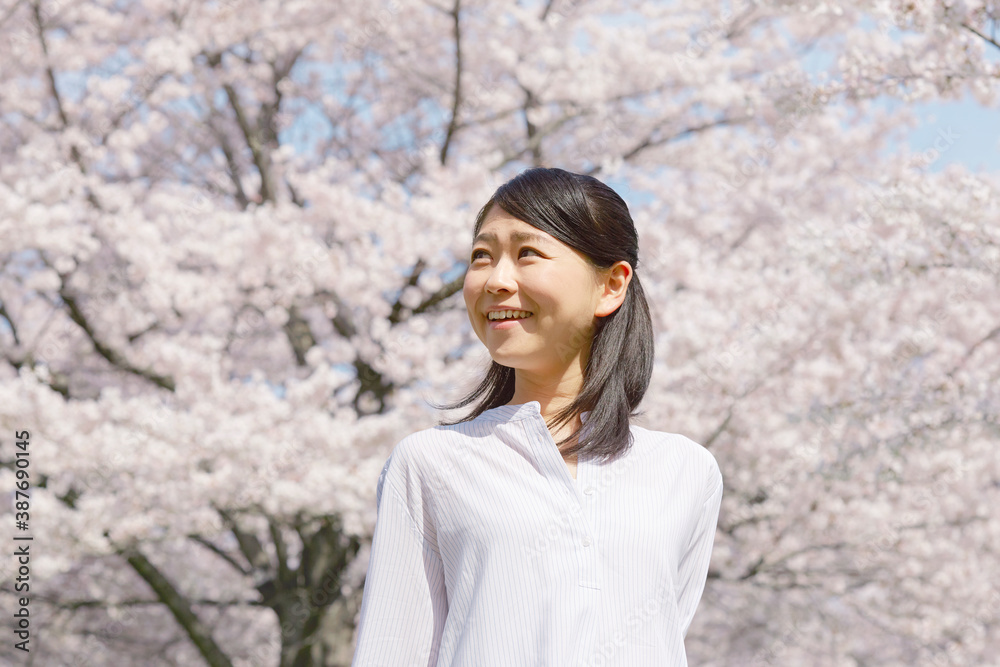 女性　桜　満開