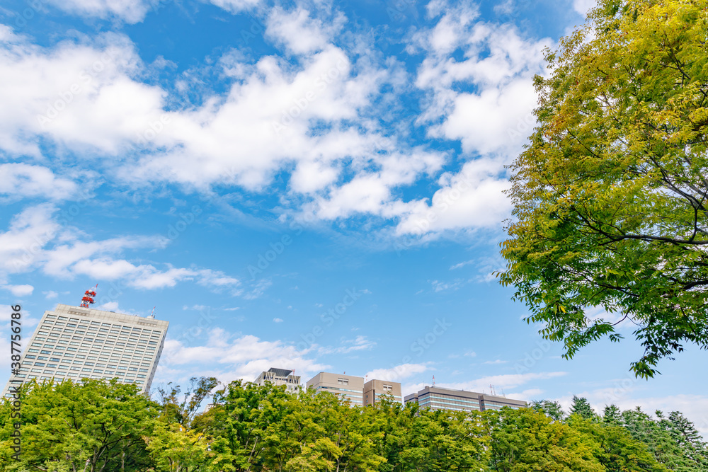 新緑の木と東京のビル群