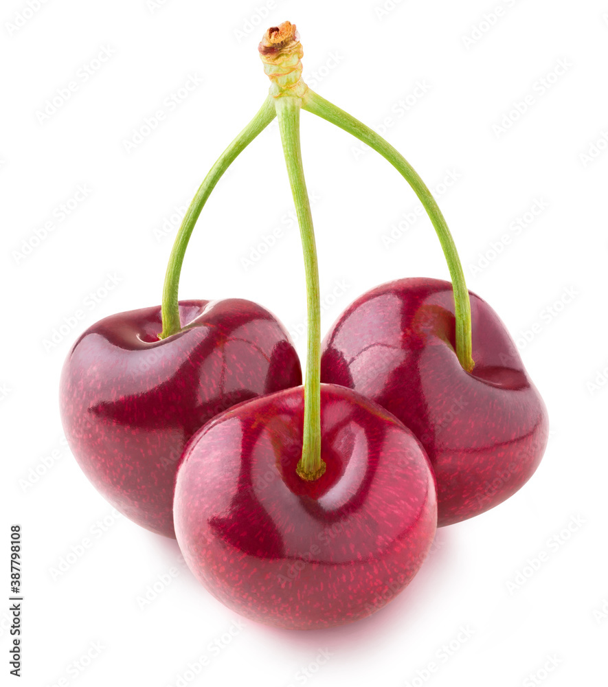 Three cherries on a stem isolated on white background