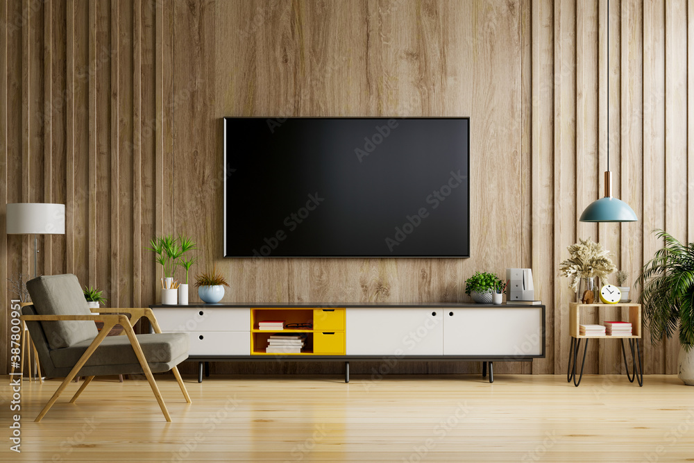 TV on cabinet in modern living room with lamp,table,flower and plant on wooden wall background.