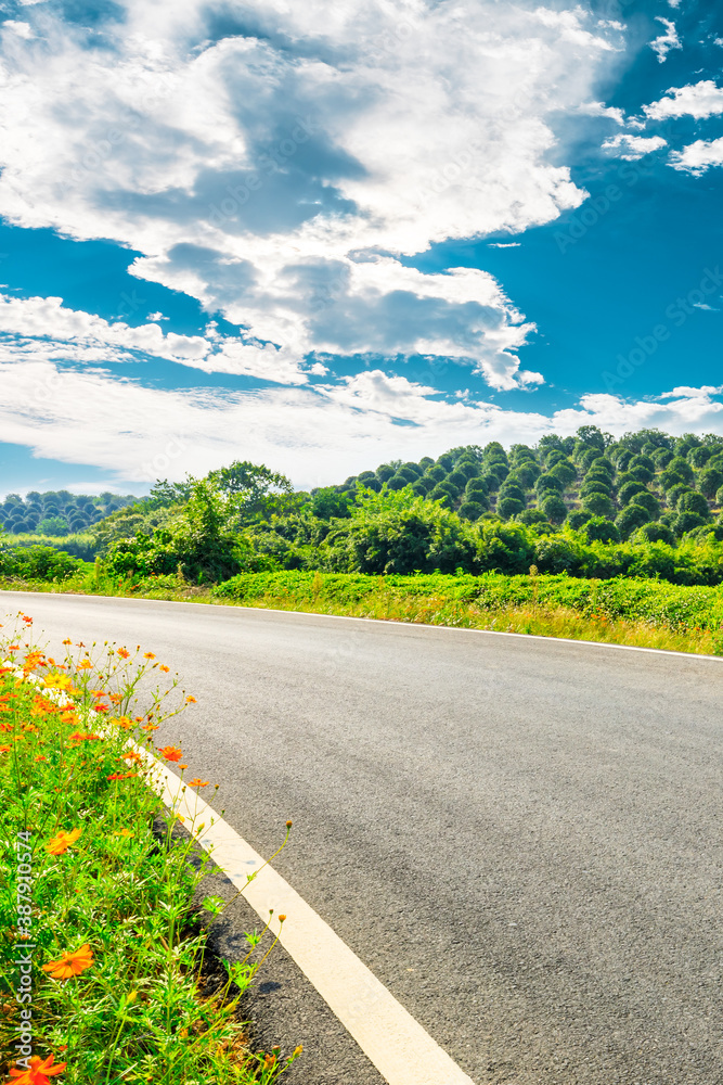 Countryside asphalt road and green tea plantations with mountain natural scenery in Hangzhou on a su