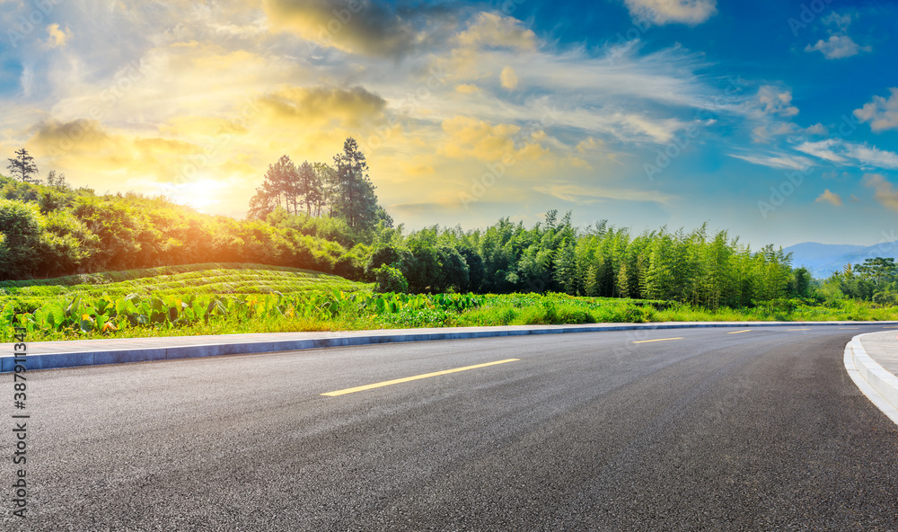 Countryside asphalt road and green tea plantations with mountain natural scenery in Hangzhou on a su