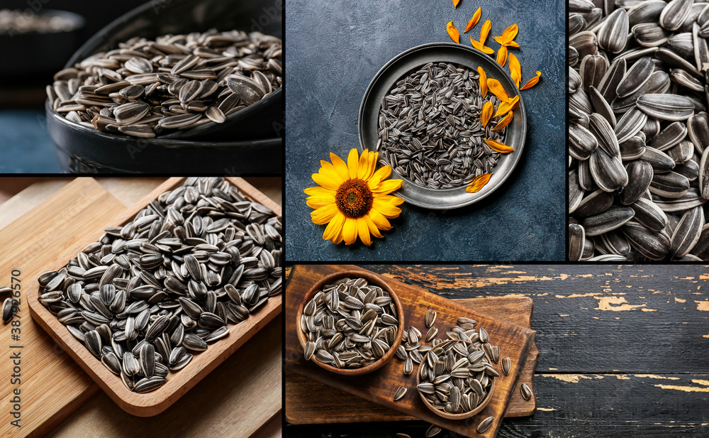 Collage of photos with sunflower seeds