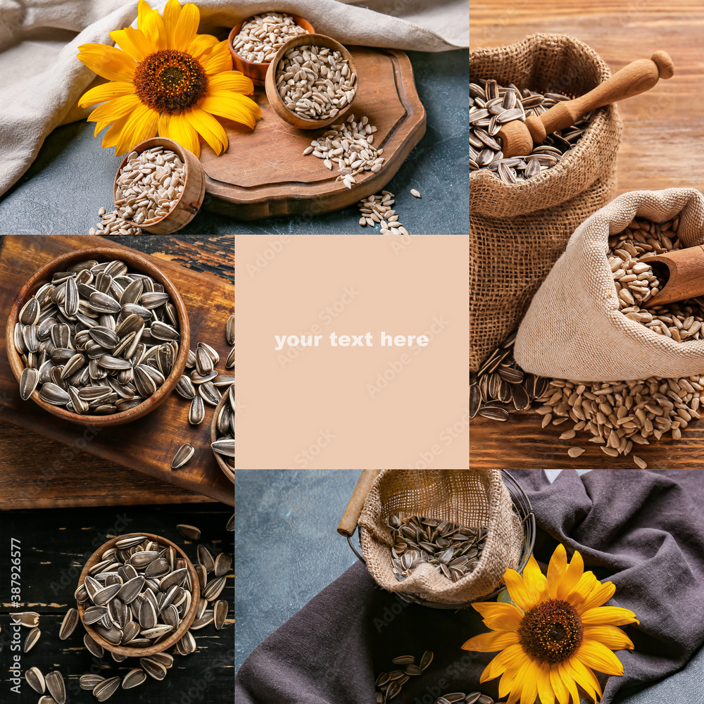 Collage with sunflower seeds and place for text