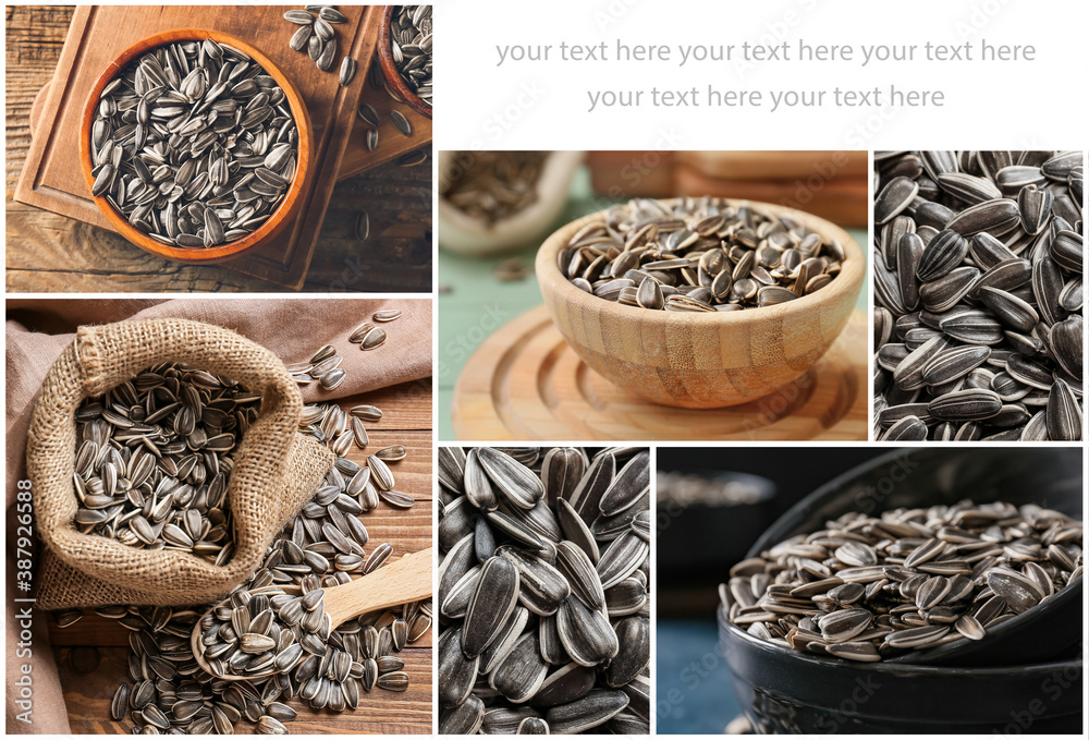 Collage with sunflower seeds and place for text