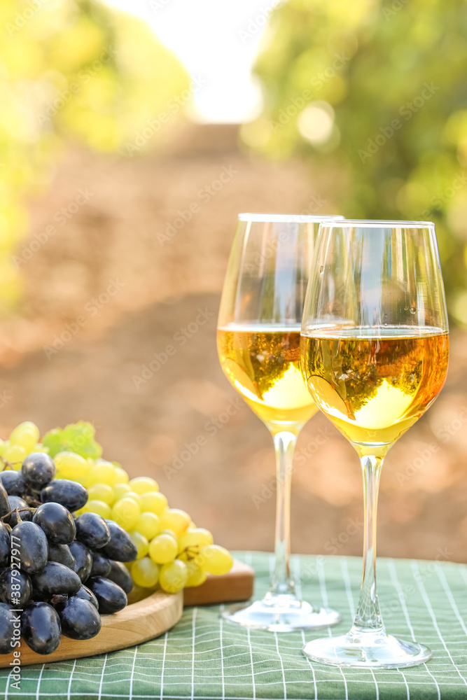 Glasses of wine and ripe grapes on table in vineyard