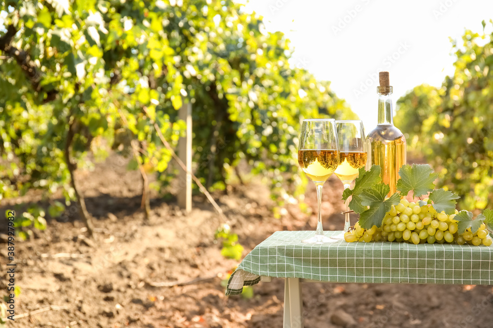 Tasty wine and ripe grapes on table in vineyard