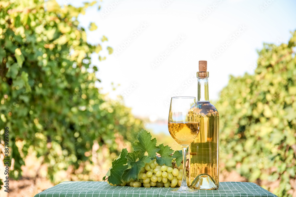 Tasty wine and ripe grapes on table in vineyard