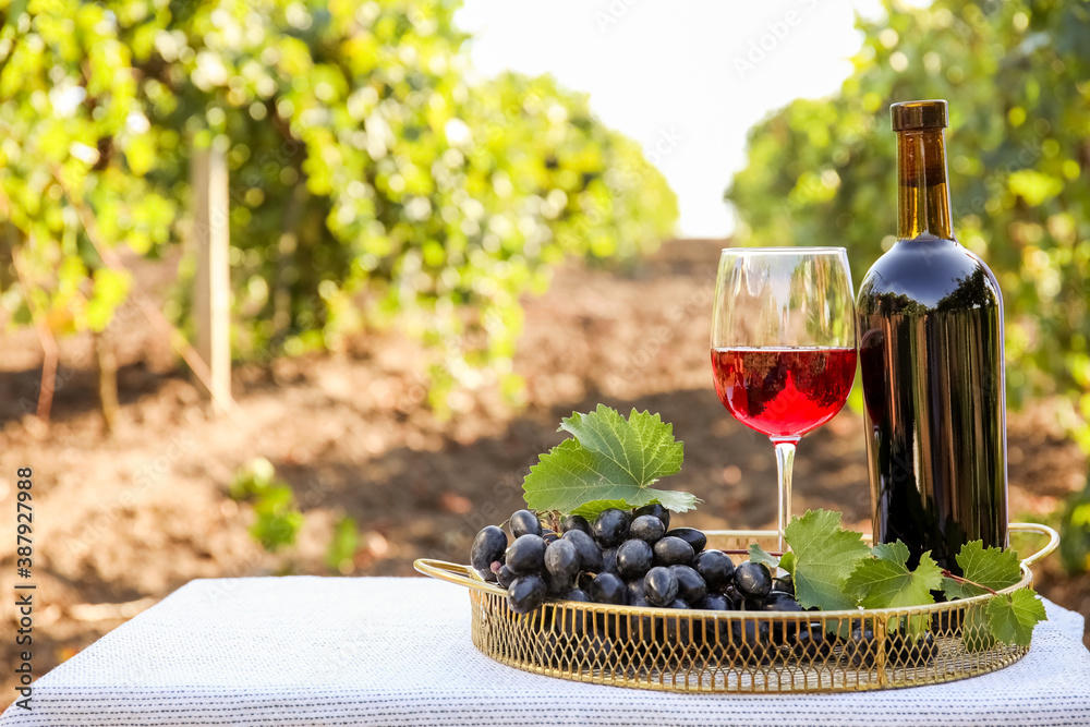 Tasty wine and ripe grapes on table in vineyard