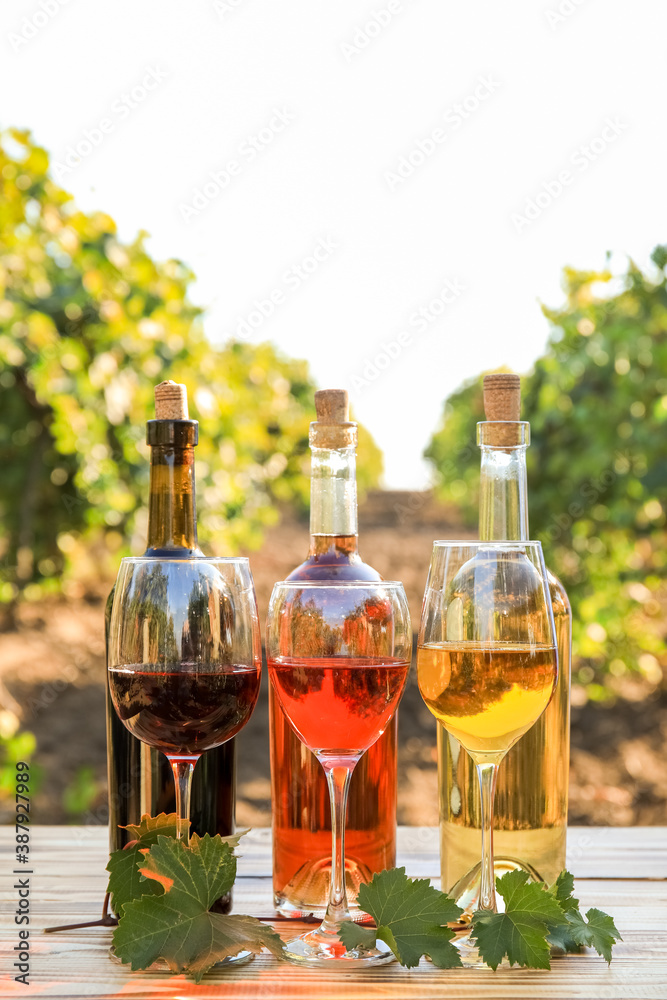 Glasses and bottles of different wine on table in vineyard