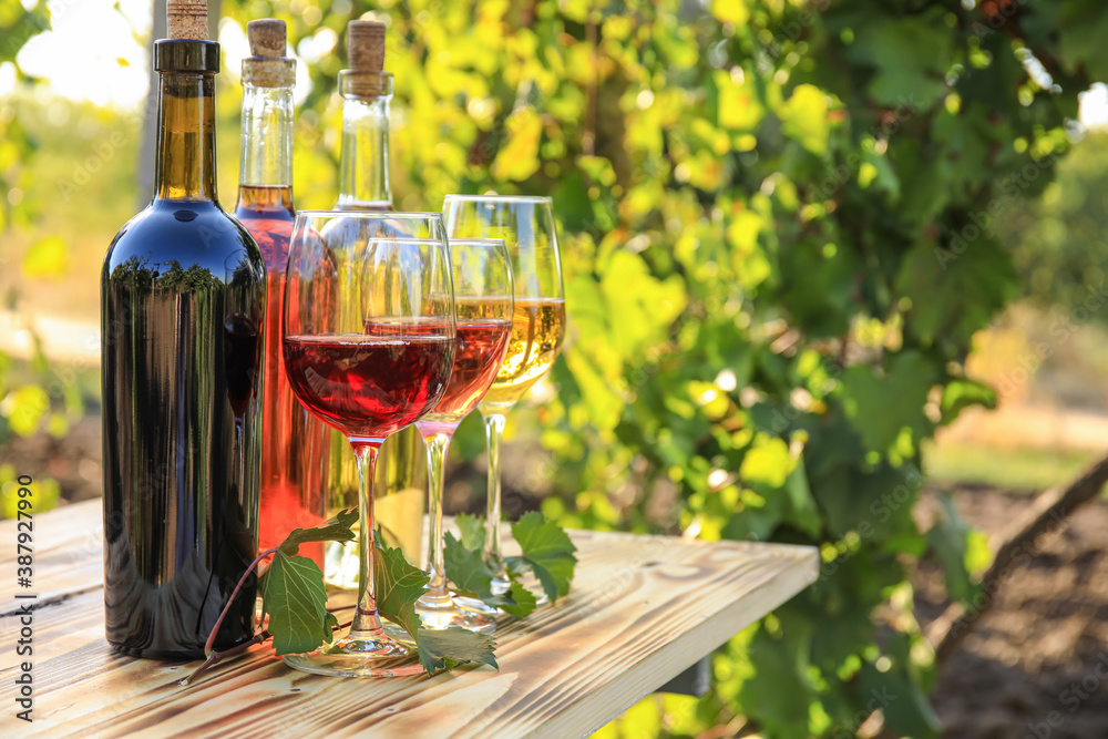 Glasses and bottles of different wine on table in vineyard