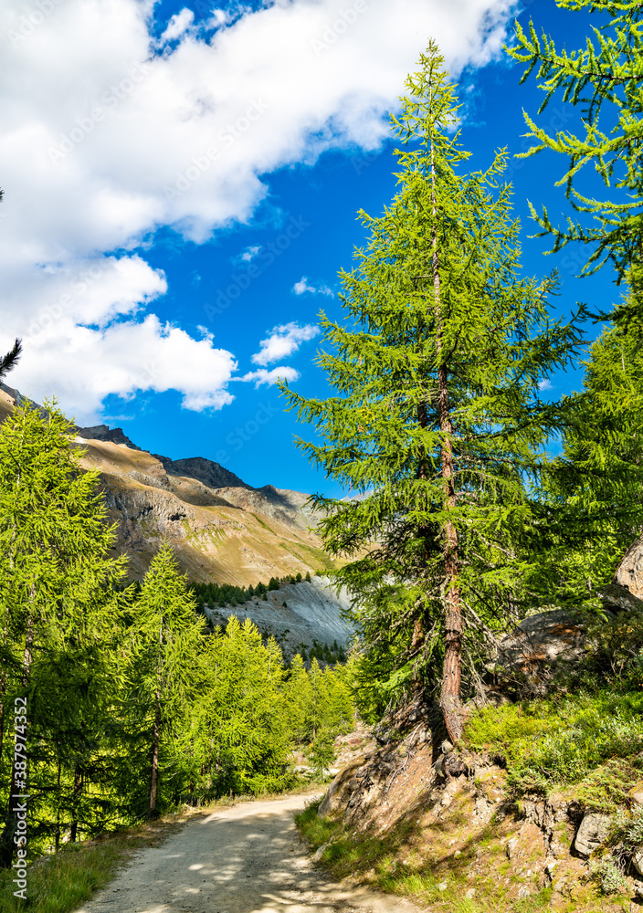 View of the Swiss Alps near Zermatt