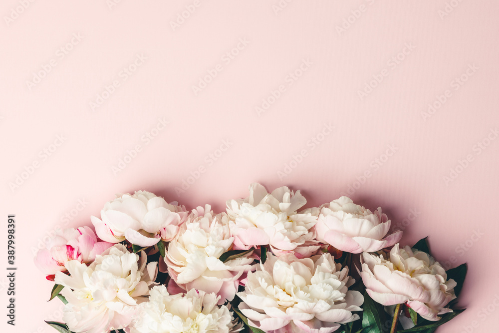 Flat-lay of Beautiful peony flowers over pink background, top view, copy space