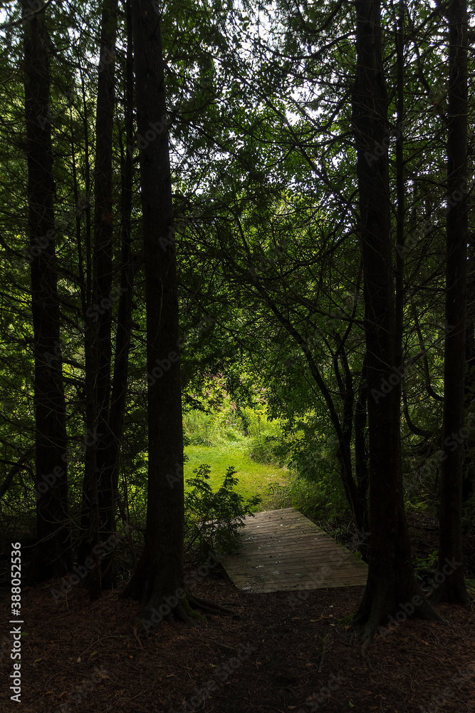 A small bridge in a forest leads to an open field on the grounds of the John Backhouse Mill north of