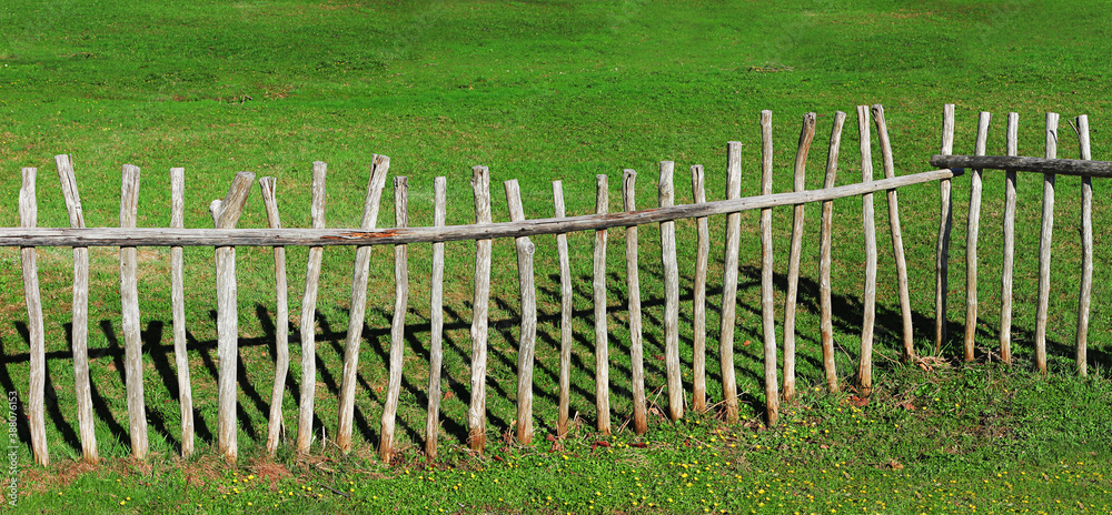 wooden fence made of logs, against green grass