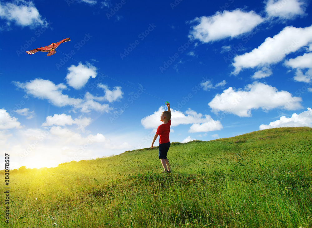  Little boy playing with kite on field