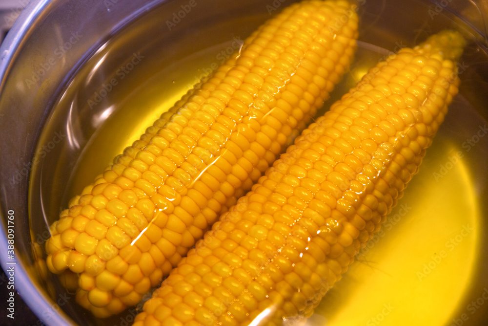 Two fresh corn cobs boil in the pot