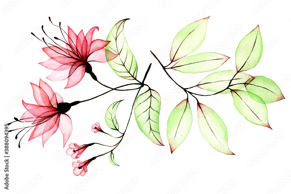 watercolor drawing set of transparent flowers and leaves. transparent pink tropical flower, hibiscus