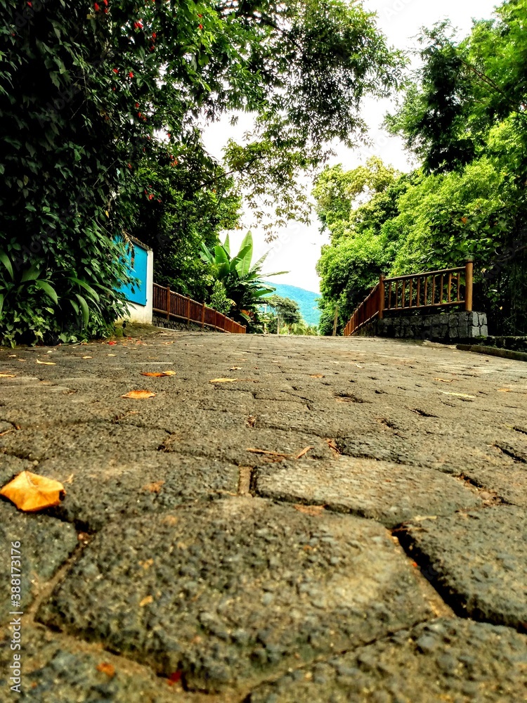 
Landscape on the bridge in the afternoon Ilhabela SP Brazil