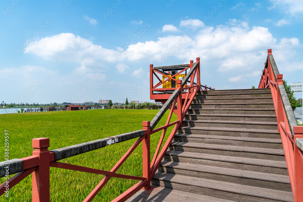 Rural garden wood viewing platform