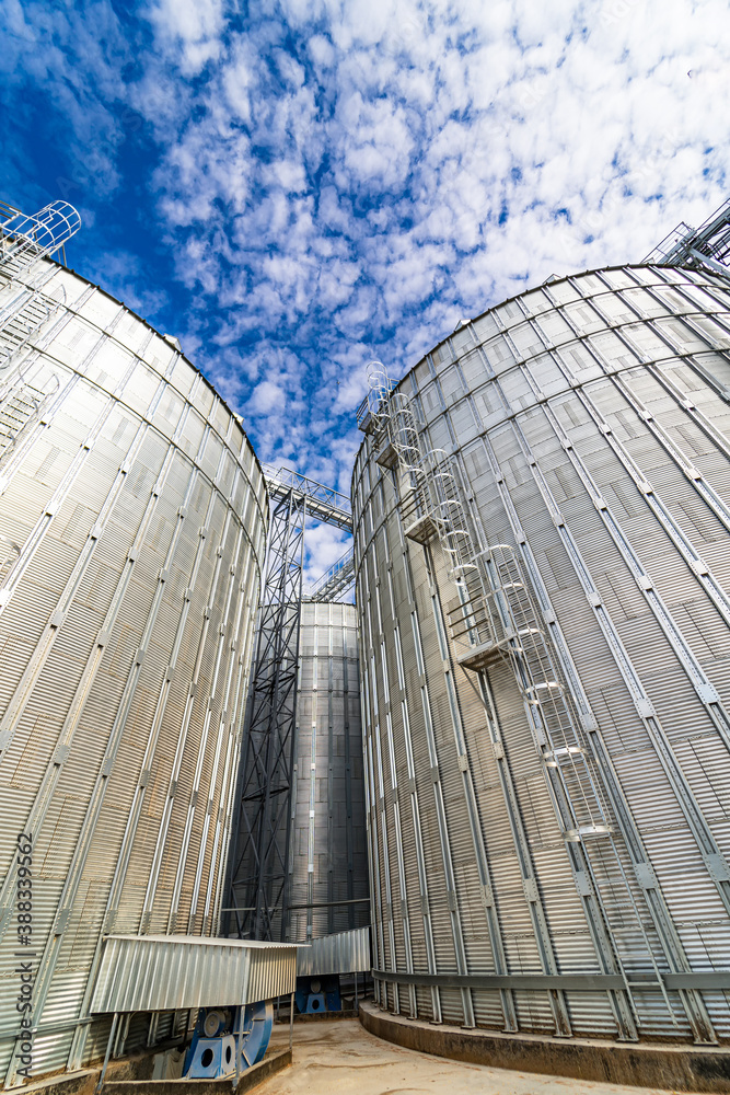 Granaries for storing wheat and other cereal grains. Modern plant.