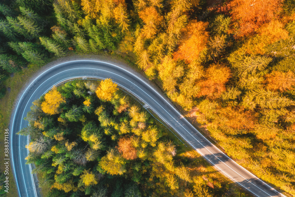 Aerial view of mountain road in beautiful forest at sunset in autumn. Top view from drone of winding