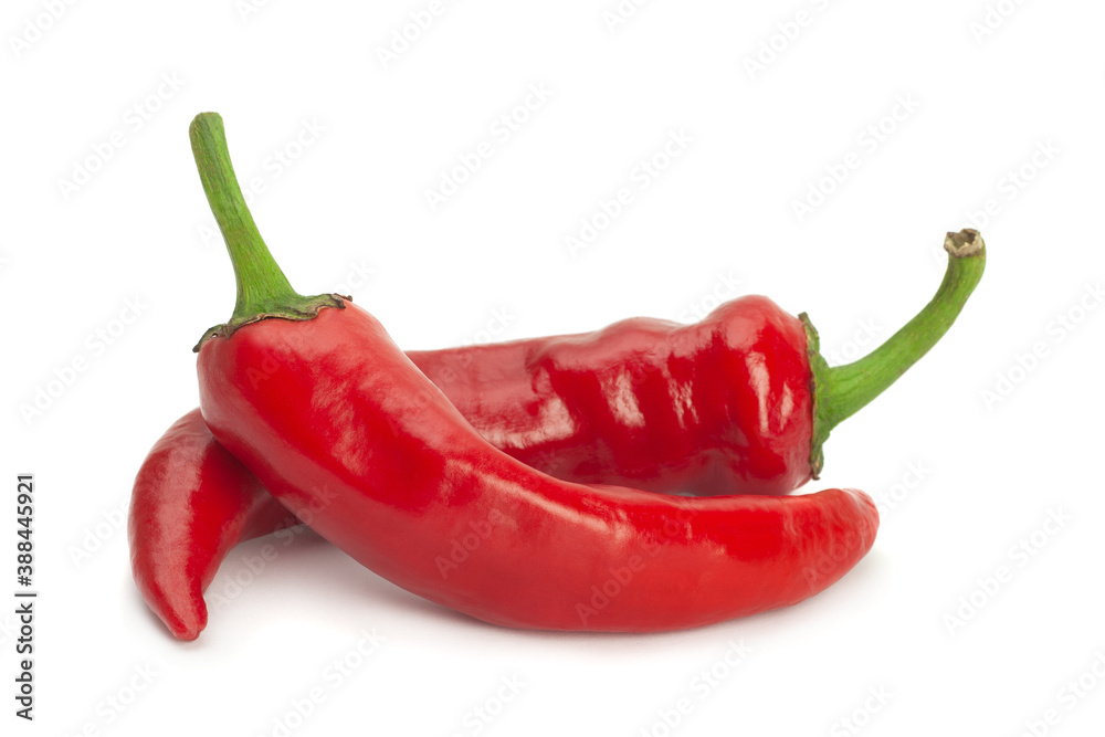 Red chili pepper