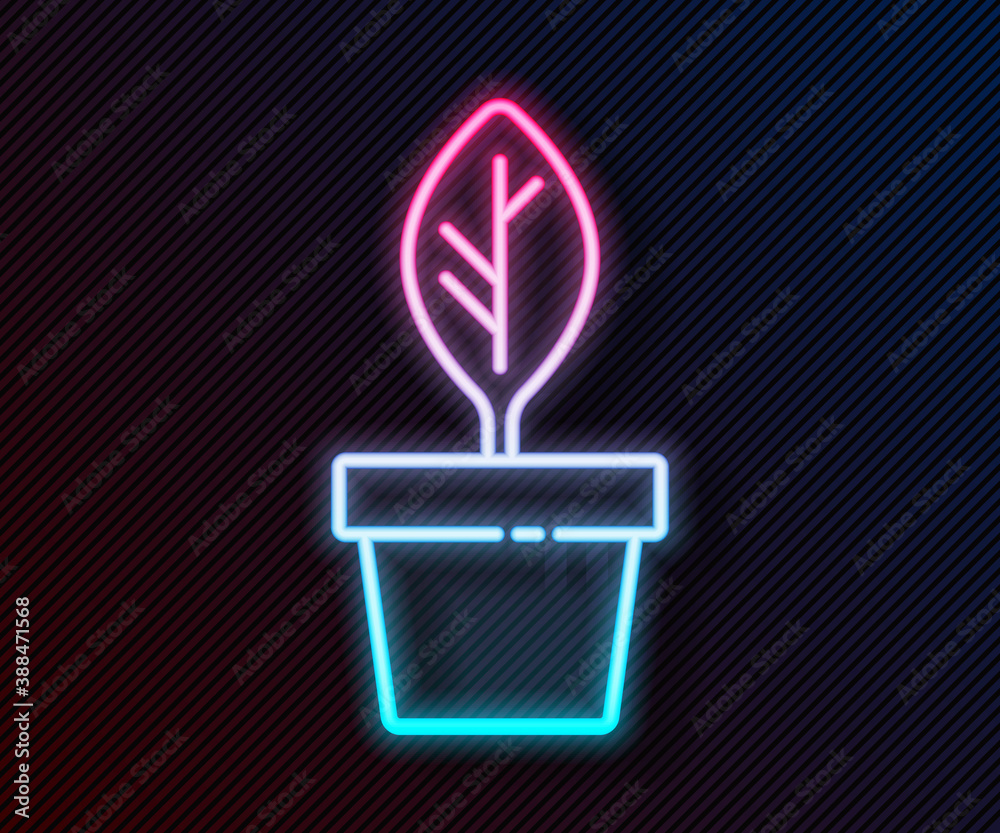 Glowing neon line Plant in pot icon isolated on black background. Plant growing in a pot. Potted pla