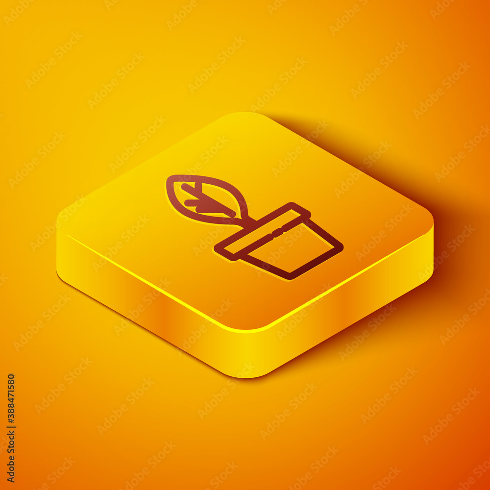 Isometric line Plant in pot icon isolated on orange background. Plant growing in a pot. Potted plant