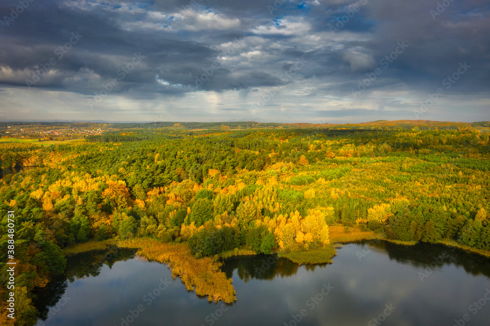 Golden autumn of Poland by the Straszyn lake from above.