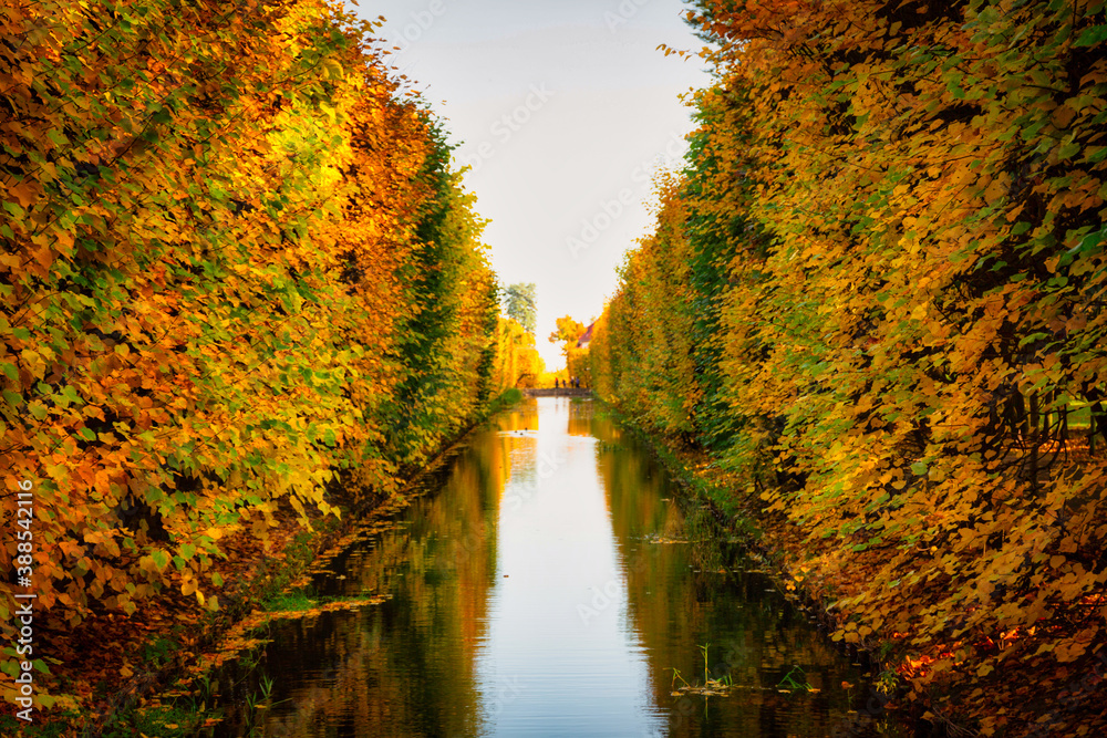 Beautiful pond in the Oliwa Park in autumn. Gdansk