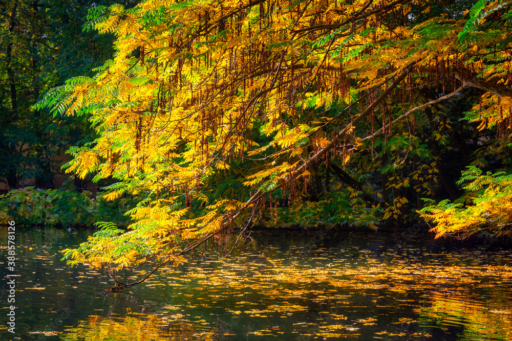 Beautiful scenery of the autumnal park in Gdansk. Poland