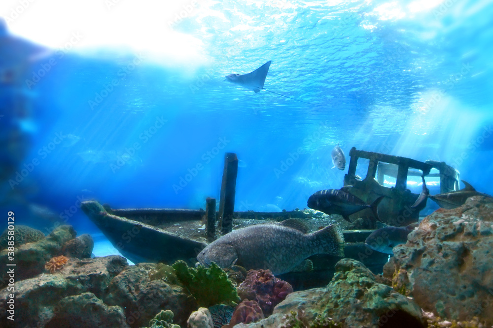 Beautiful underwater world or amazing blue ocean background, with reef, creatures and wreck ship, Co