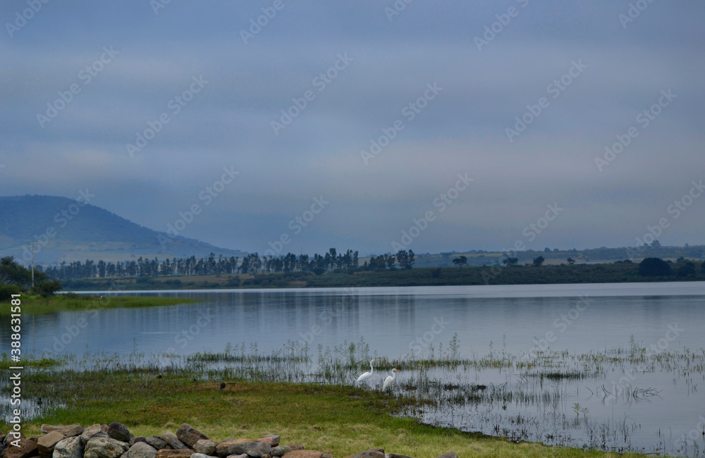 Paisaje ribera del lago