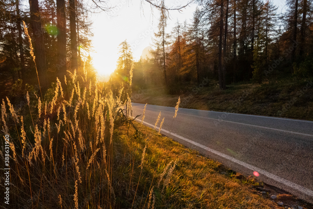 CLOSE UP Golden autumn evening sunbeams shine on an empty mountain road in Italy