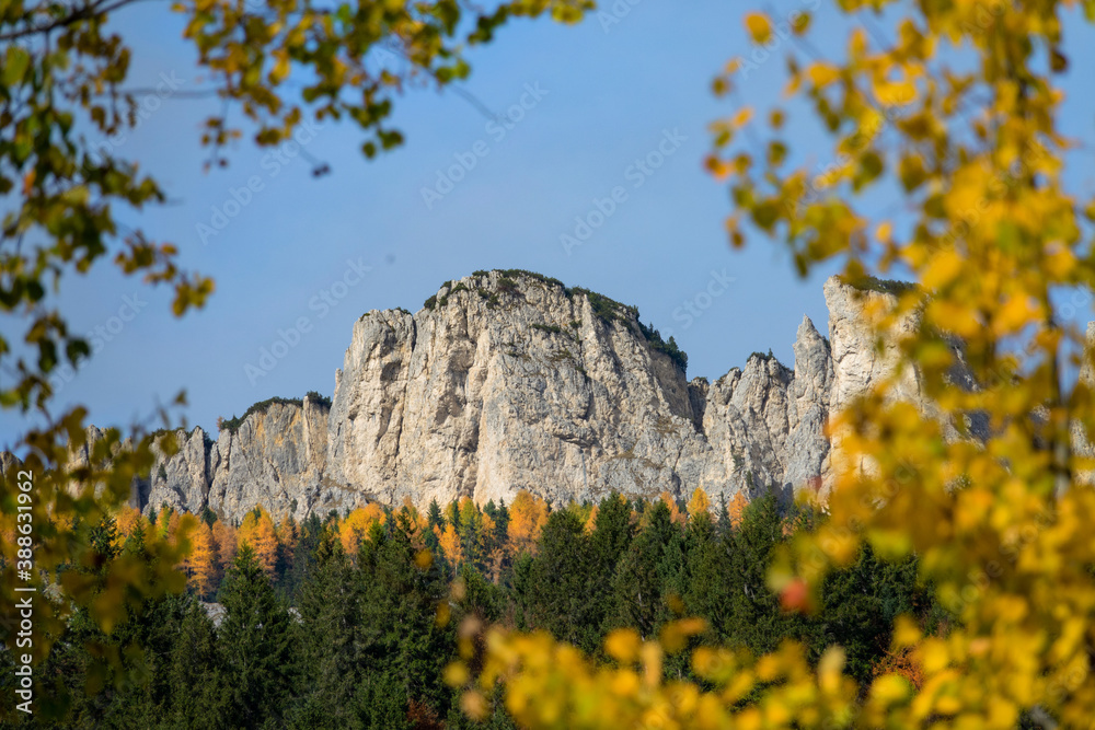 CLOSE UP: Blurry golden branches create a frame for a spectacular mountaintop.