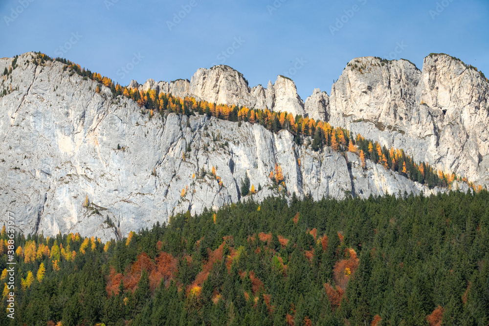 DRONE: Flying shot of vivid forest covered valley under a rocky mountain range