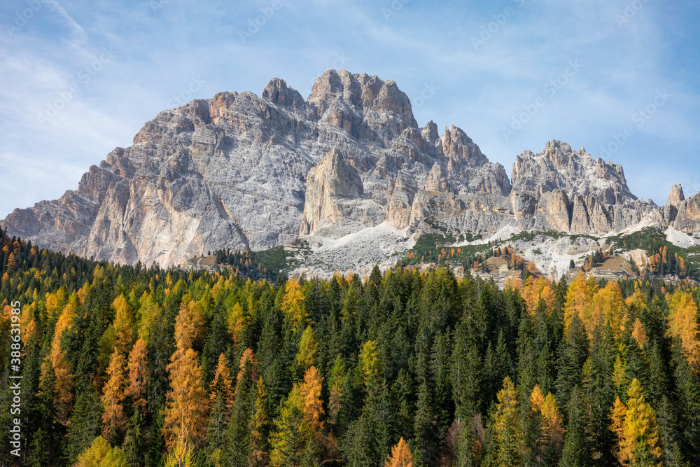 DRONE: Idyllic view of colorful woods covering the valley beneath the Alps.