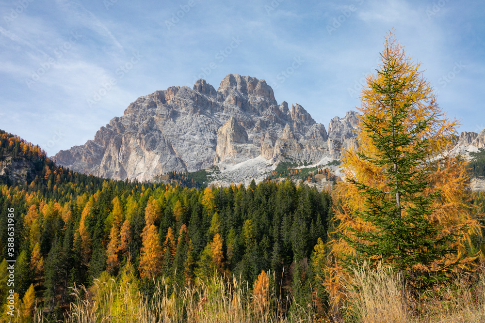 Spectacular rocky mountain range overlooks the autumn colored woods in Italy.