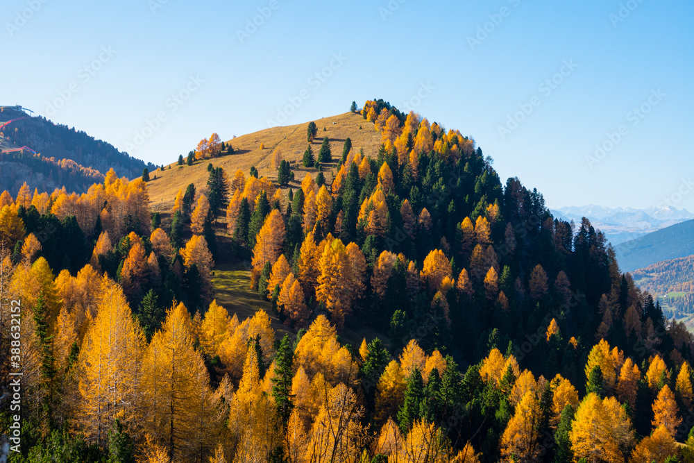 DRONE: Vibrant rural landscape in the Dolomites on a sunny fall afternoon.