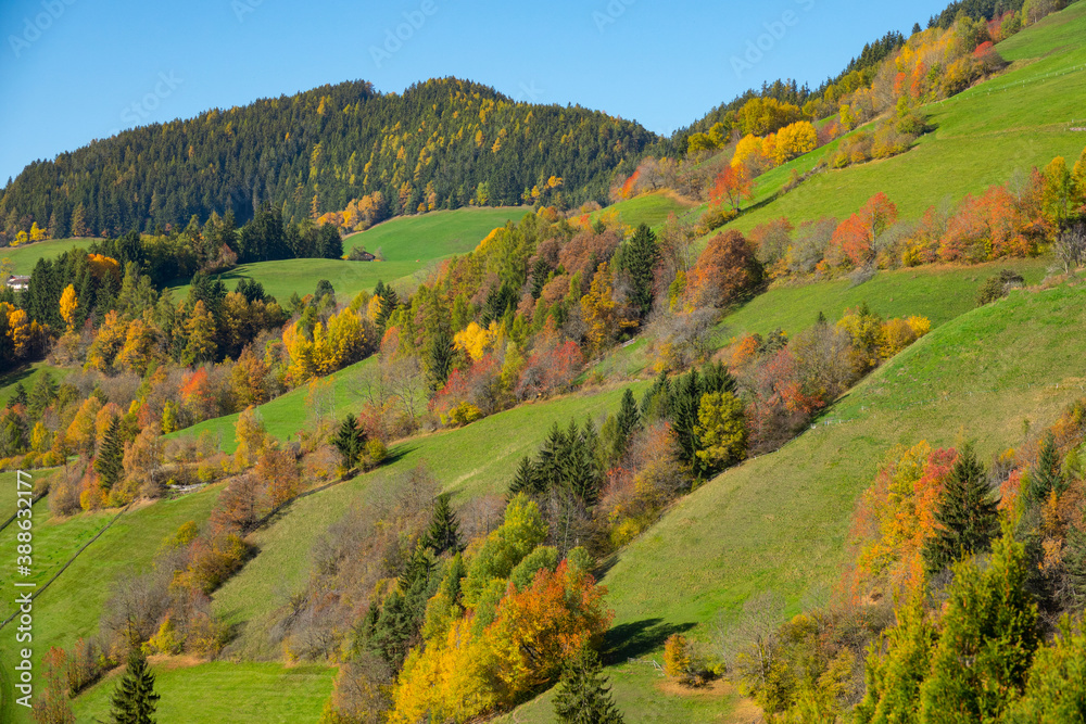 DRONE: Gorgeous fall colored trees are scattered across the Italian countryside.