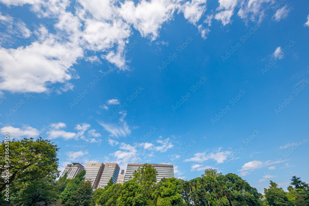 新緑の木と東京のビル群