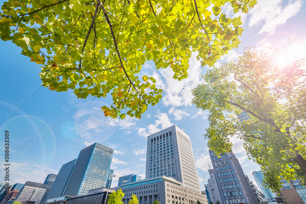 新緑の木と東京のビル群