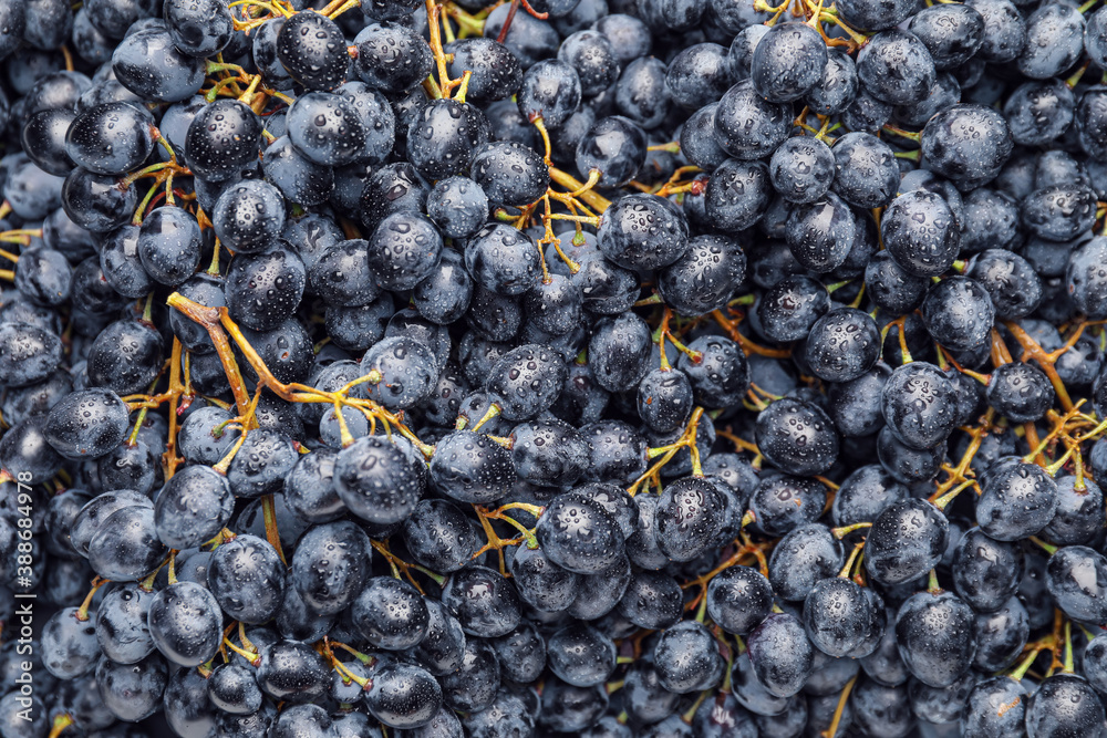 Sweet ripe grapes as background