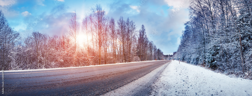 Winter road with snow and the trees all around