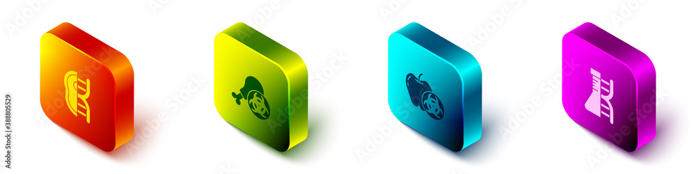 Set Isometric Genetically modified meat, Gmo research chicken, apple and DNA research, icon. Vector.