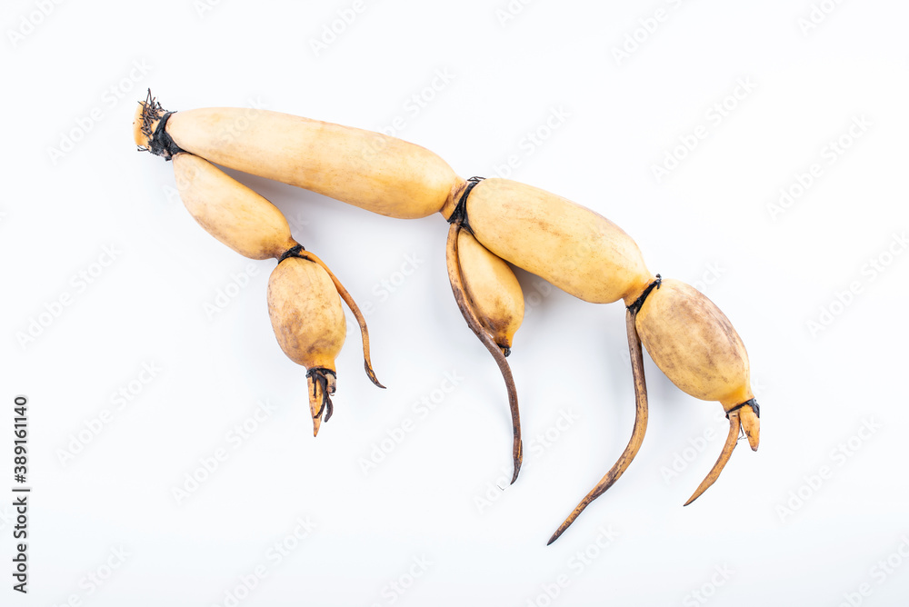 A fresh lotus root on white background