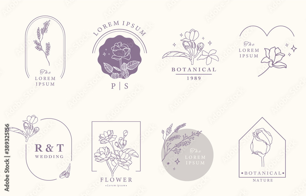 Beauty occult design collection with lavender,jasmine.Vector illustration for icon,sticker,printable