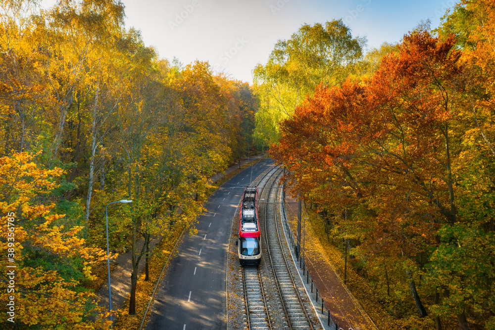 A tram in the autumn scenery of a forest in Gdańsk. Poland