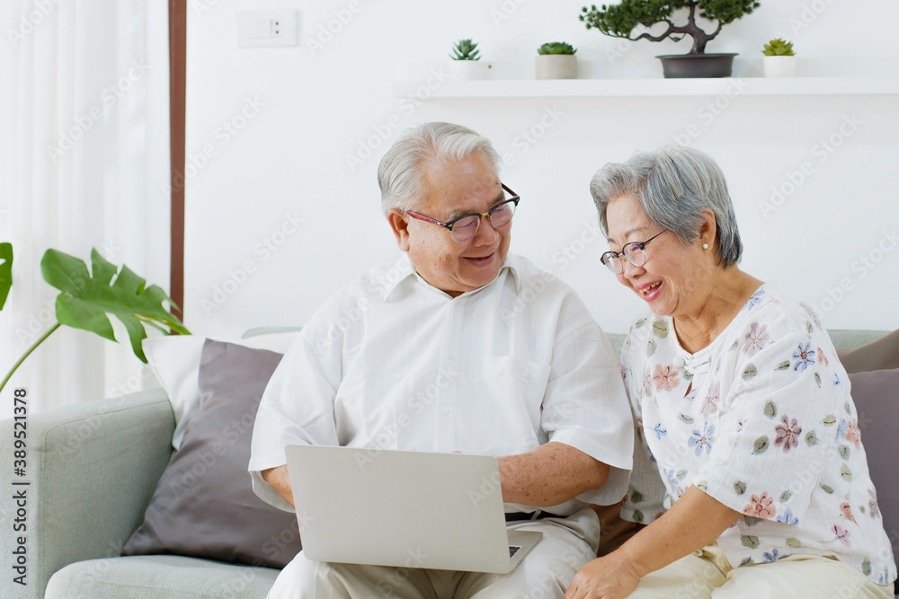 Asian senior couple using computer laptop for internet searching, online shopping, and buying insura